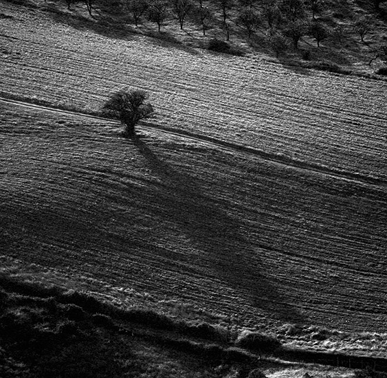 © Suren Manvelyan - Nonlinear shadow