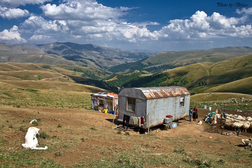 © Tigran Biface Lorsabyan - Лусагюхский Коч