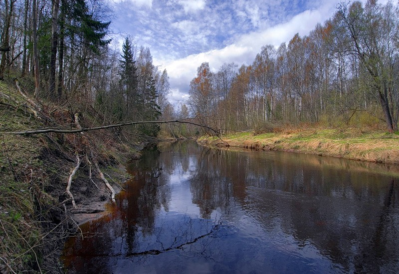 © Роман Носков - Черная речка