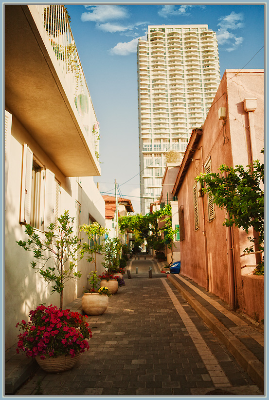 © Alexander Tolchinskiy - Tel-Aviv 9427