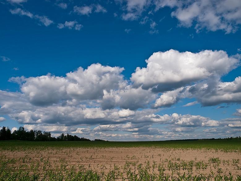 © Serg Fil - field & sky near Tank Museum in Kubinka