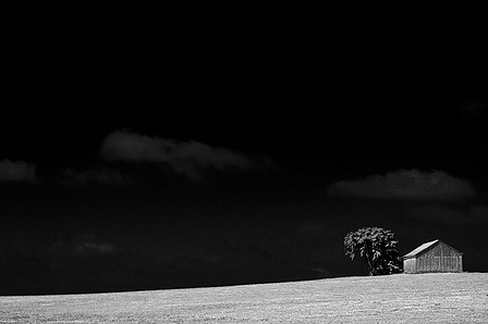 © Jean-Francois Dupuis - Tree