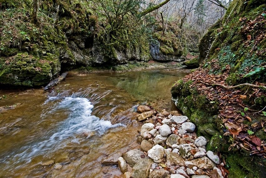 © alexej pavelchak - Autumn on Mezmay river 2