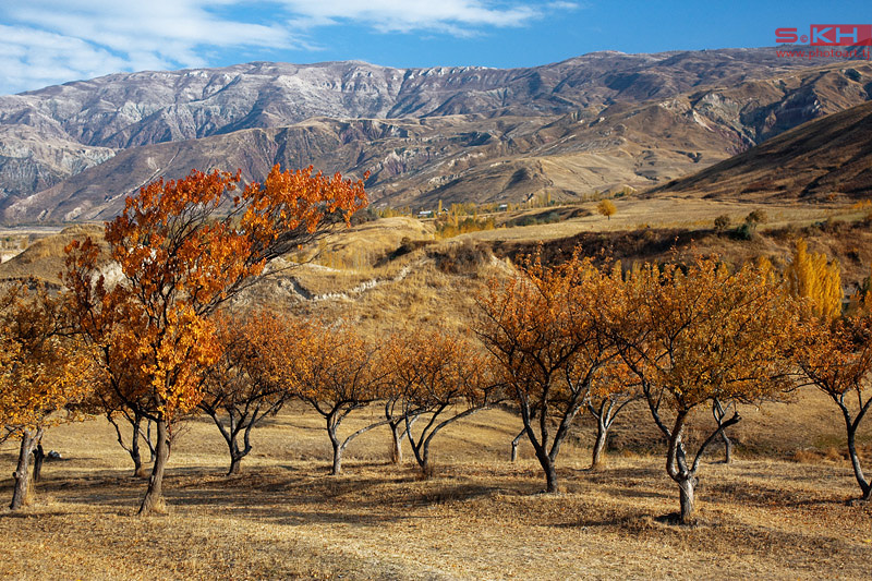 © Sergey Khabibov - Tajik nature