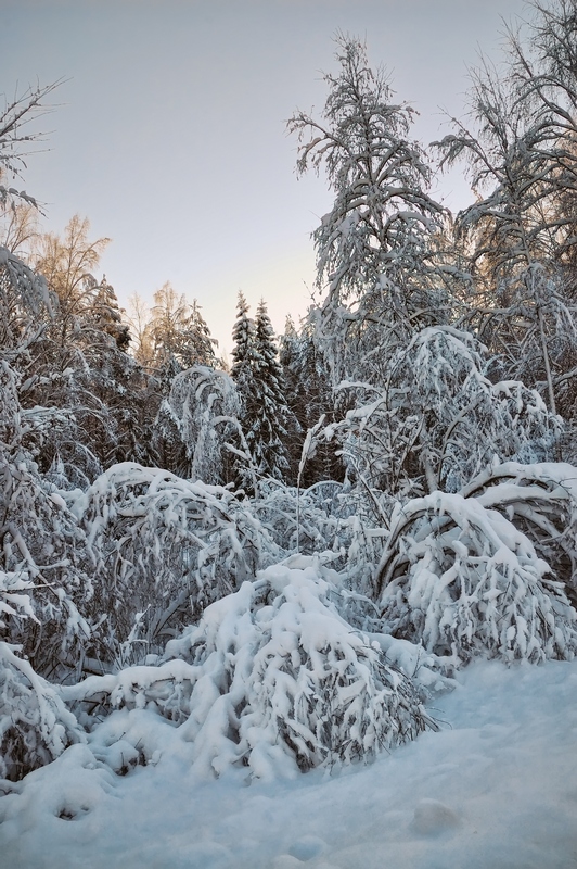 © Denis Chavkin - evening of a winter day