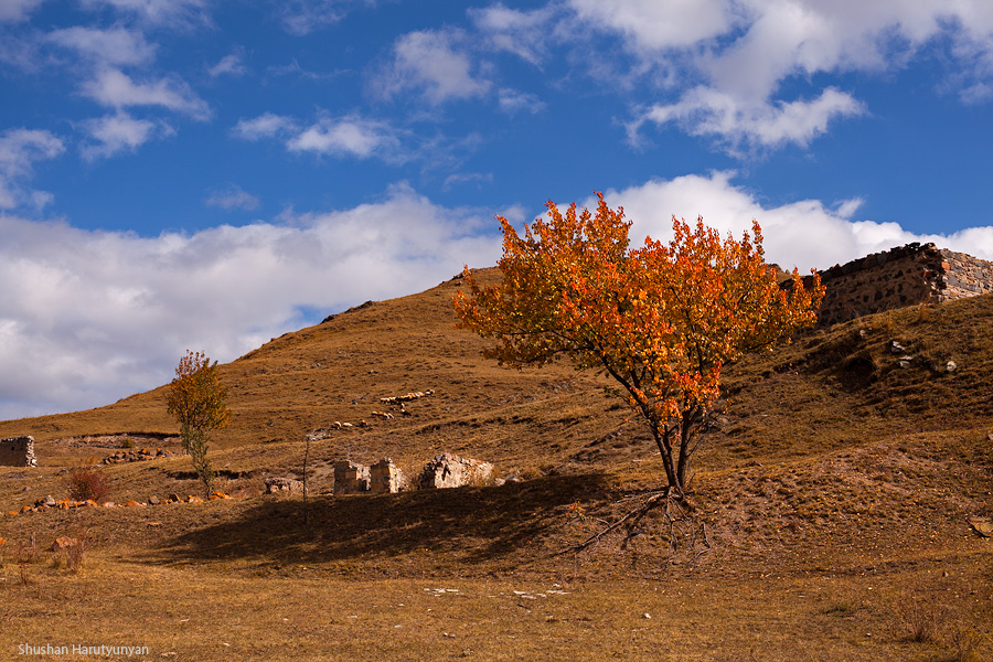 © Shushan Harutyunyan - Լքված Քարվաճառը