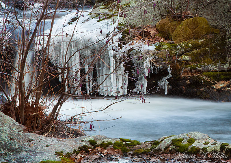 © Viktoria Mullin - Devil's-Hopyard-Falls-Winter_0407, USA