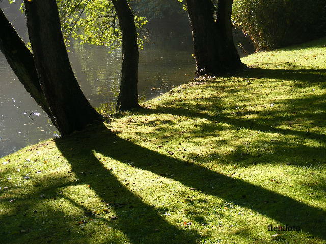 © flemming rasmussen - Autumn