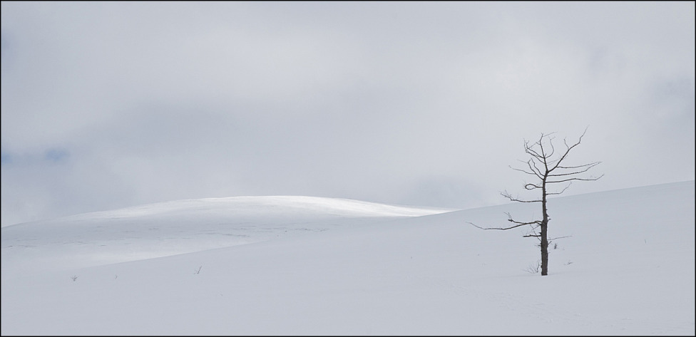 © Vladimir Podtikhov - loneliness