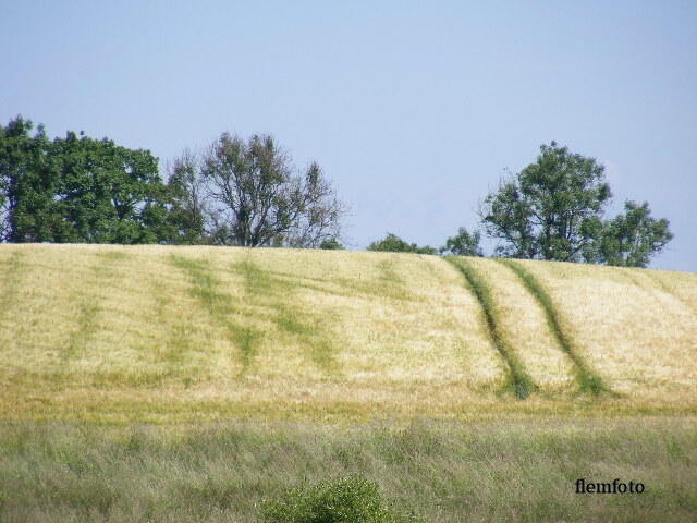 © flemming rasmussen - Landscape